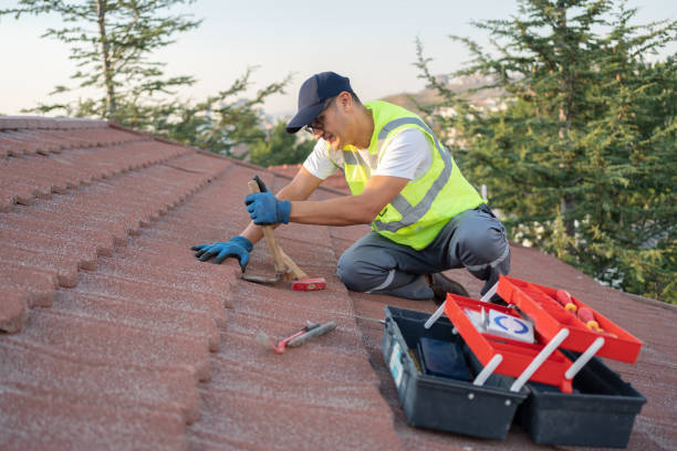 Best Roof Gutter Cleaning  in Edgerton, MN